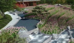 风景最新爆料图片欣赏视频,绝美画面带你领略大自然的魅力